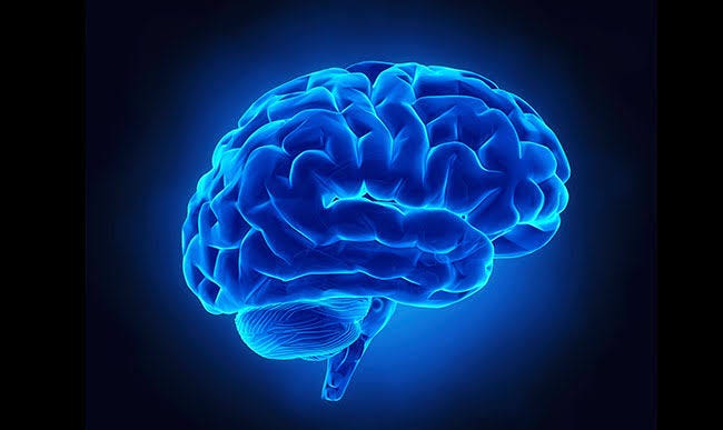 Psychology Labs and Hub